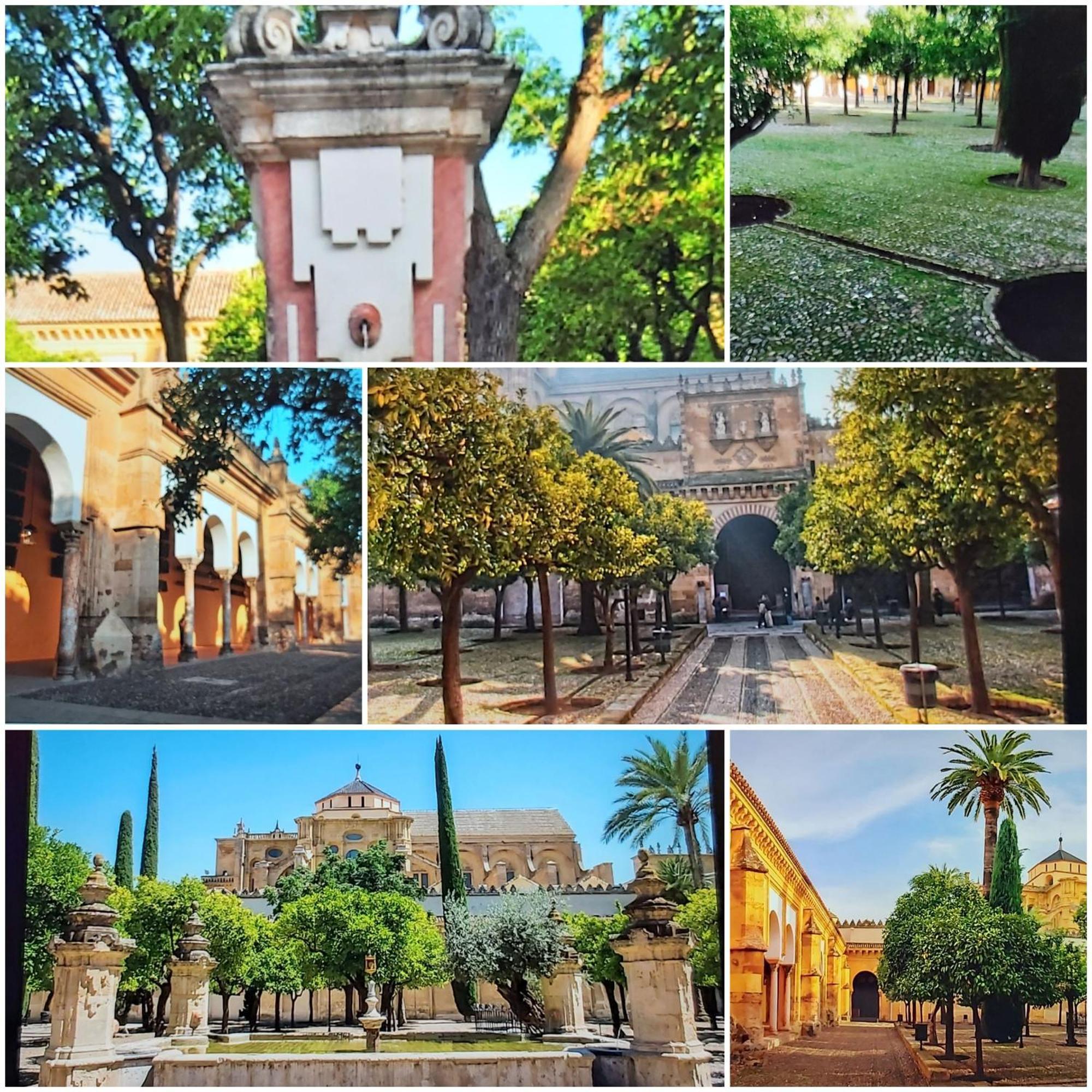 A 20 Metros De La Mezquita Catedral ,Apartamentos Turistico Cespedes 5 Κόρδοβα Δωμάτιο φωτογραφία