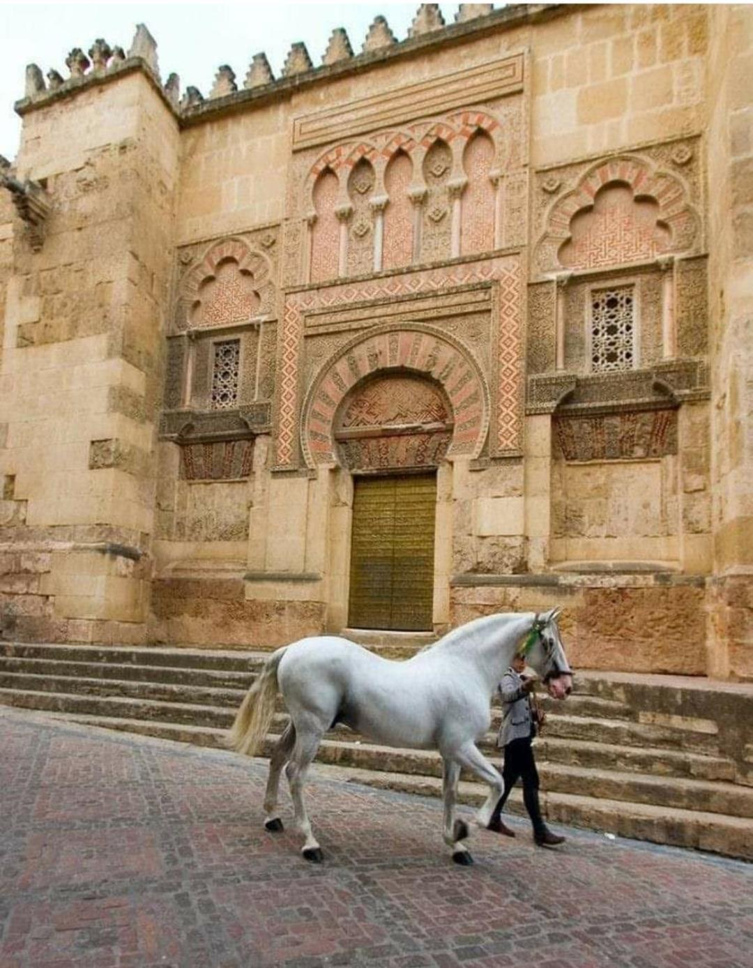 A 20 Metros De La Mezquita Catedral ,Apartamentos Turistico Cespedes 5 Κόρδοβα Δωμάτιο φωτογραφία